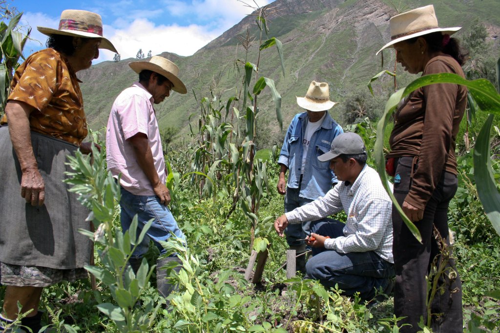 På besök i Castilla&nbsp;Media
